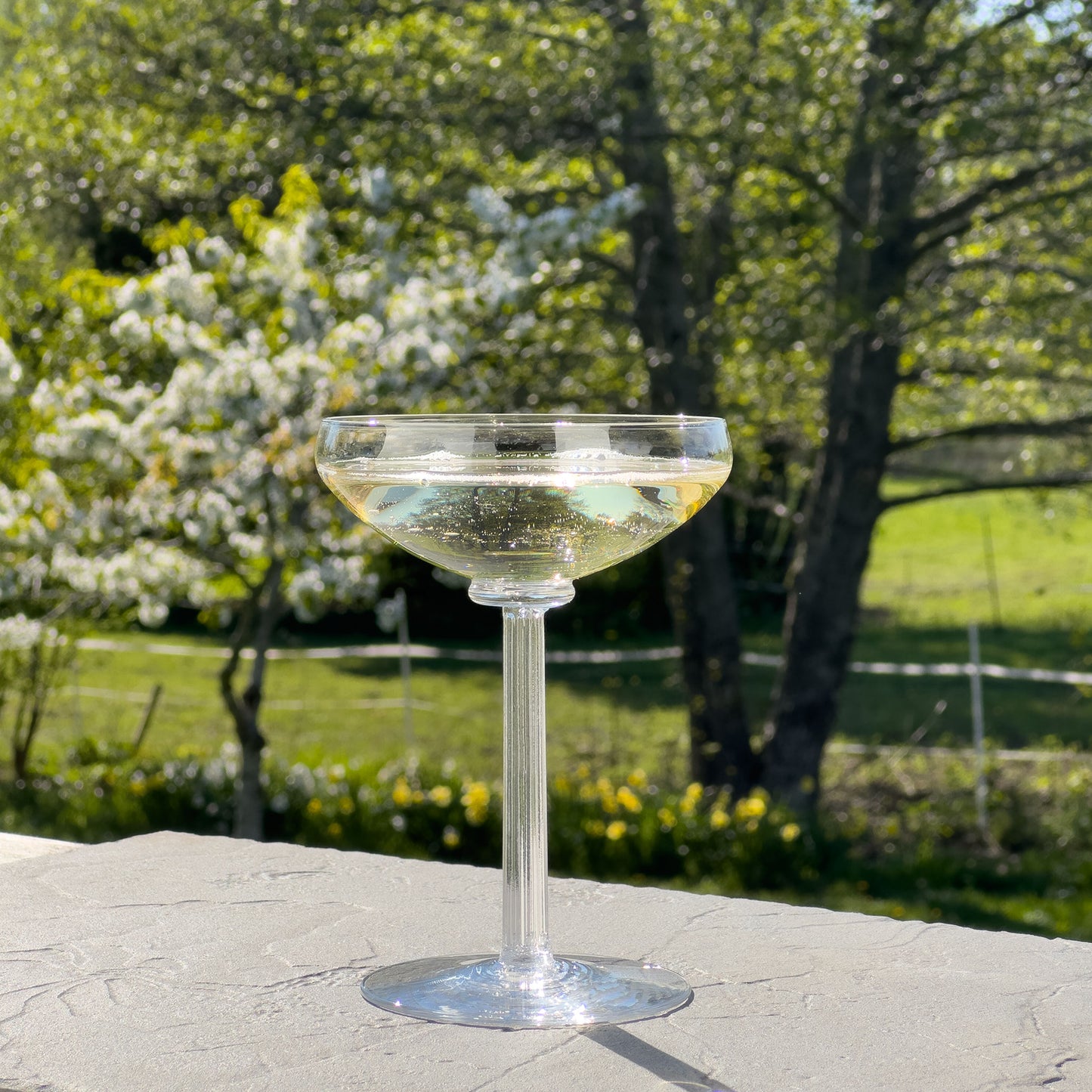 Temple Coupe Champagneglas, 2-pack - Altare Studios