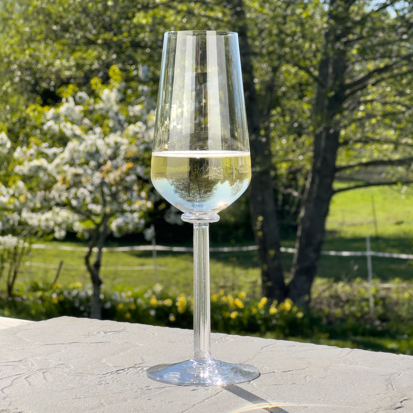 Temple Flute Champagneglas, 2-pack - Altare Studios