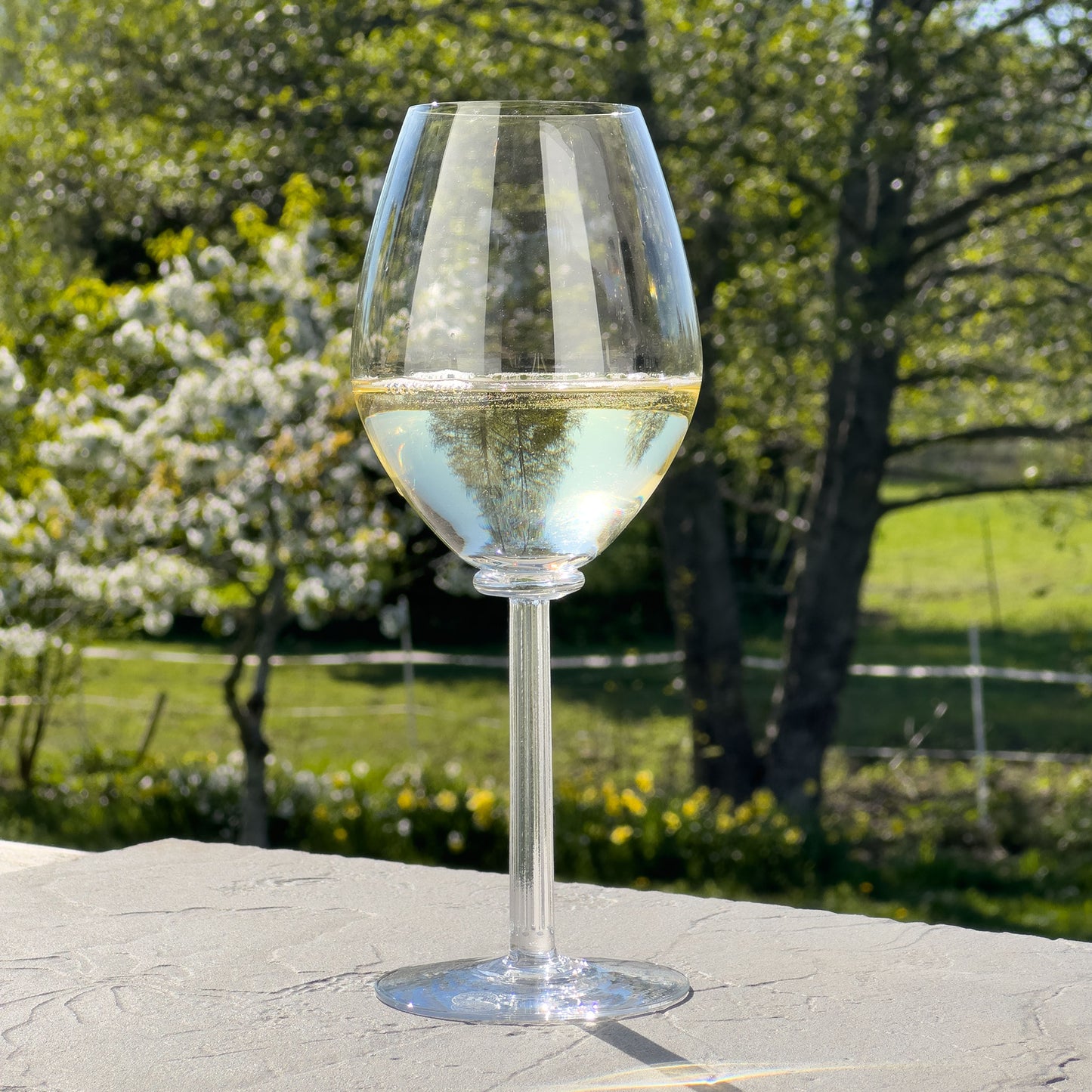 Temple Non-Vintage Champagneglas, 2-pack - Altare Studios