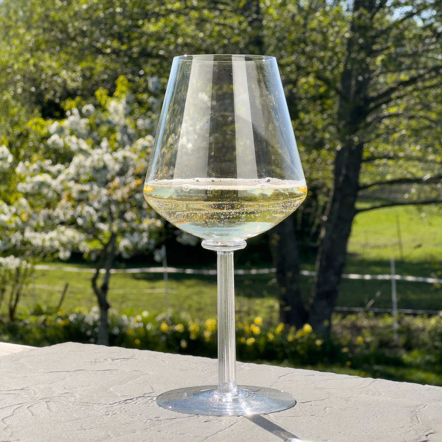 Temple Prestige Champagneglas, 2-pack - Altare Studios