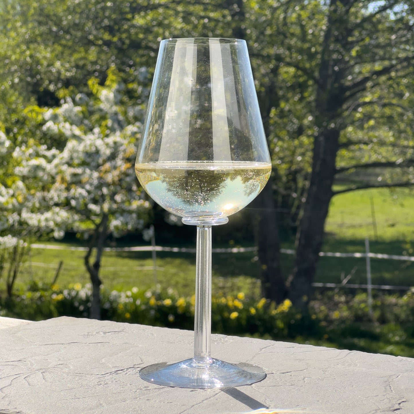 Temple Vintage Champagneglas, 2-pack - Altare Studios